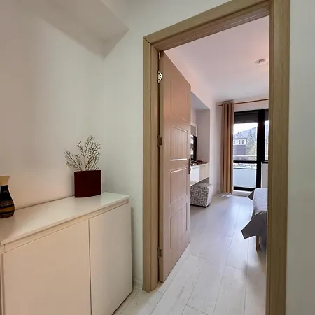 Apartment Alma Sinaia